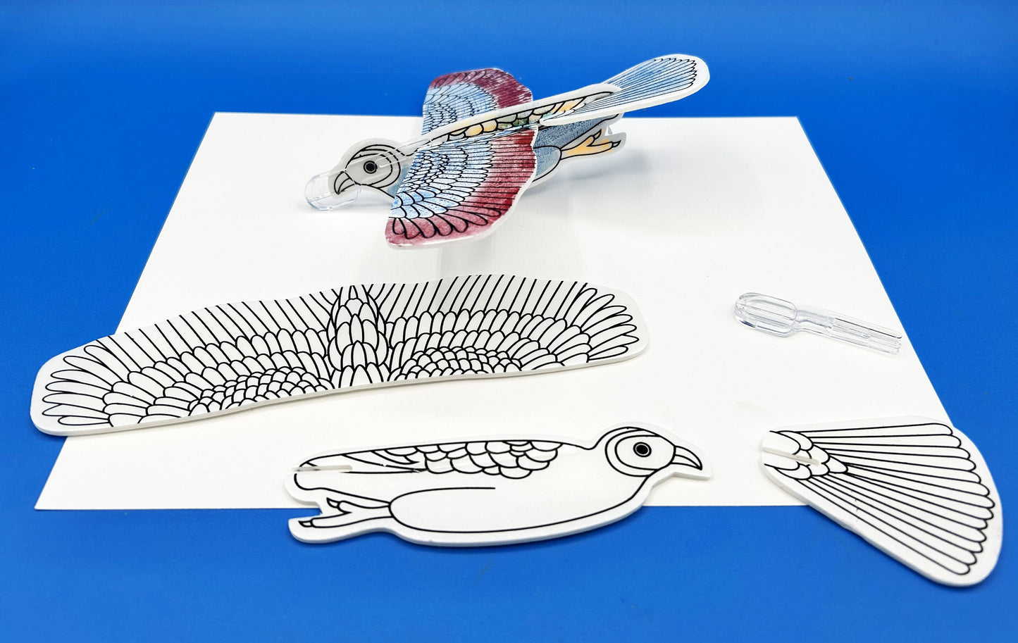 DIY Bird Glider