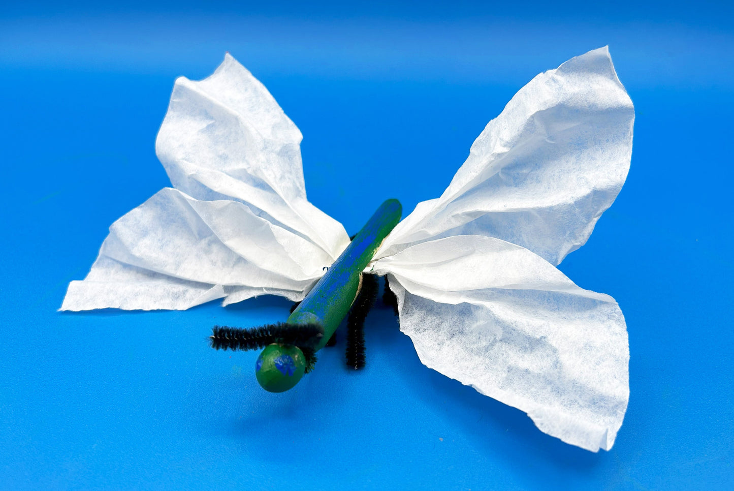 Dragonfly craft
