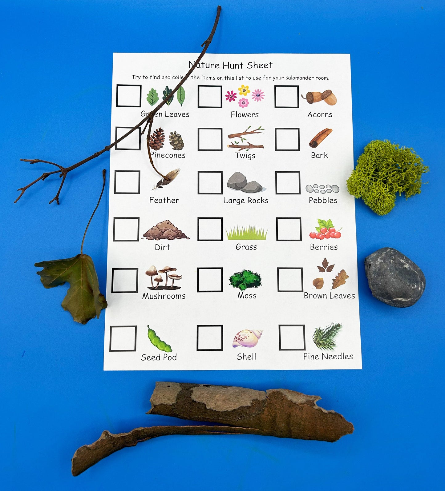 Nature Hunt