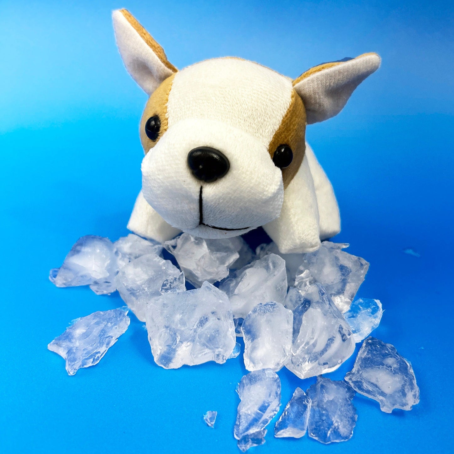 read along Plush dog