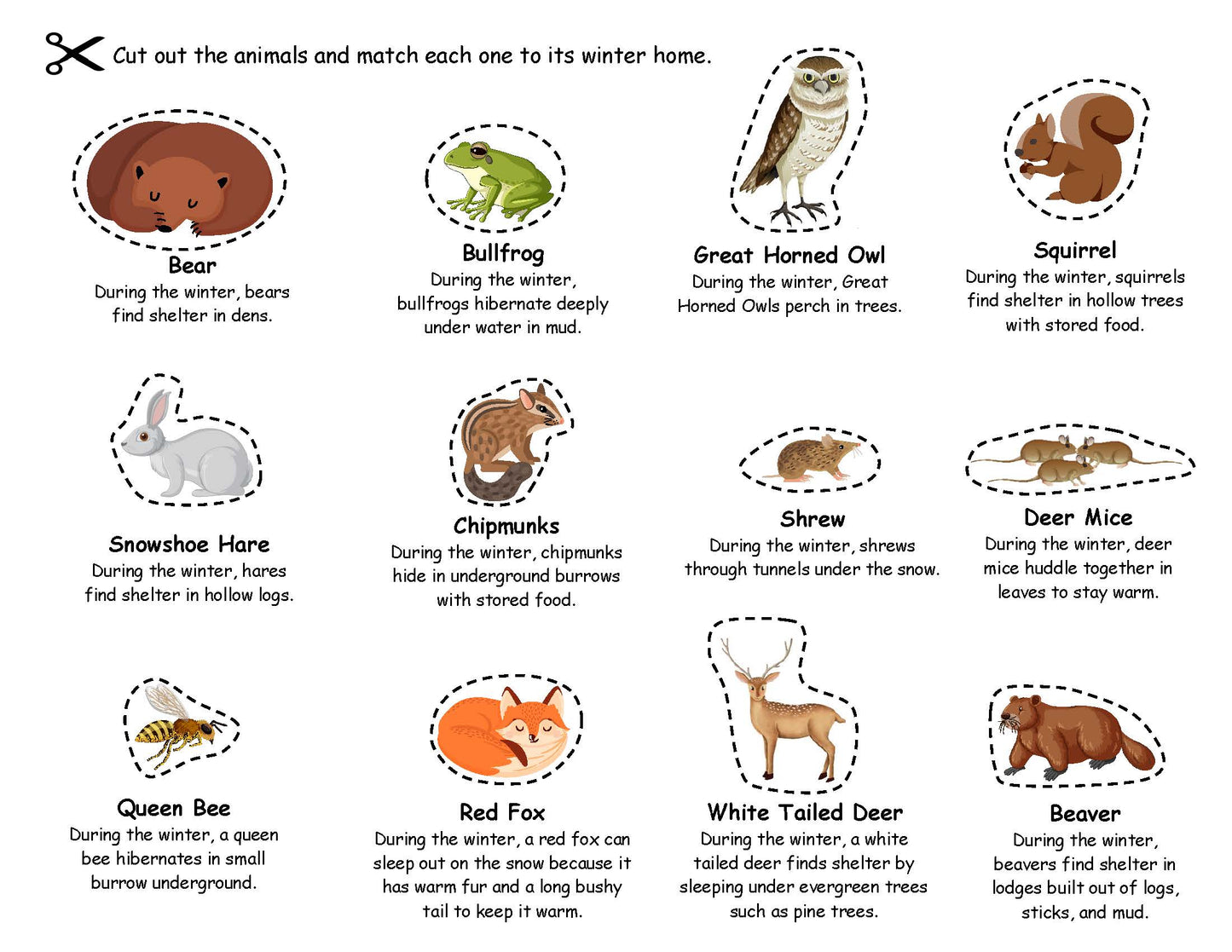 Ivy Kids Kit - Over and Under the Snow