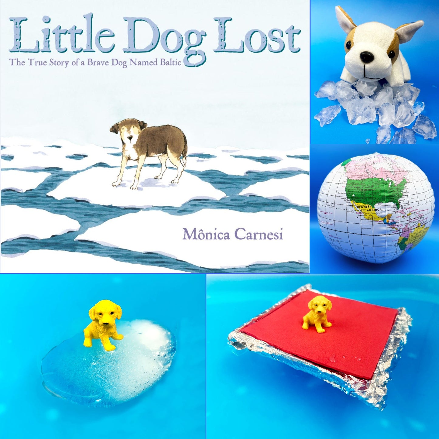 Little Dog Lost Book Inspired STEM activities