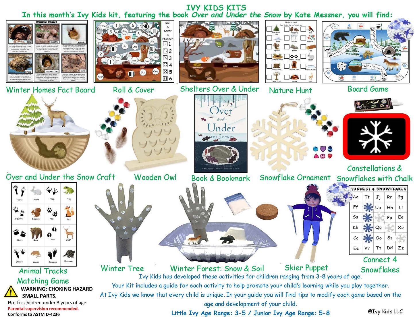 Over and Under the Snow Activities