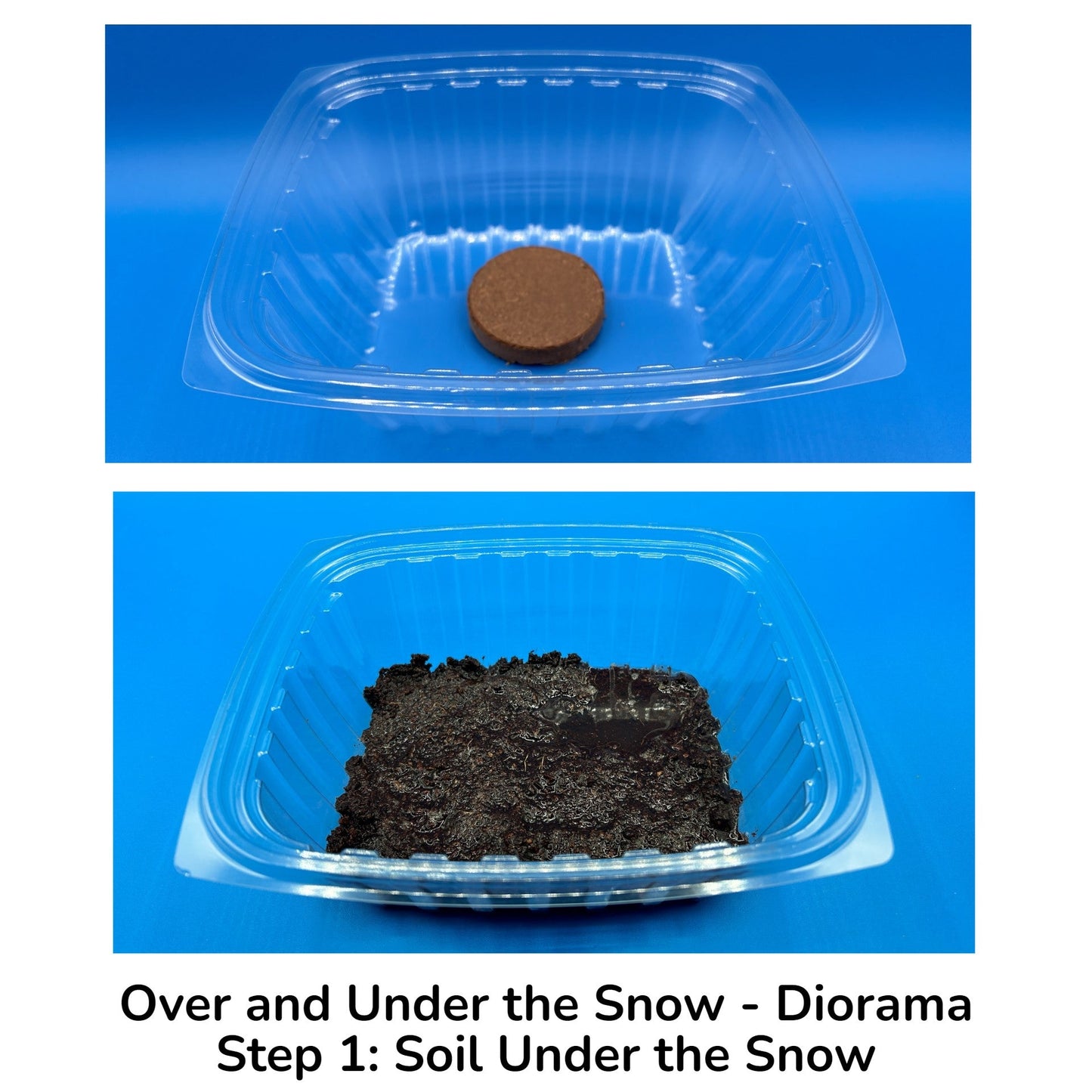 Over and Under the Snow Activities