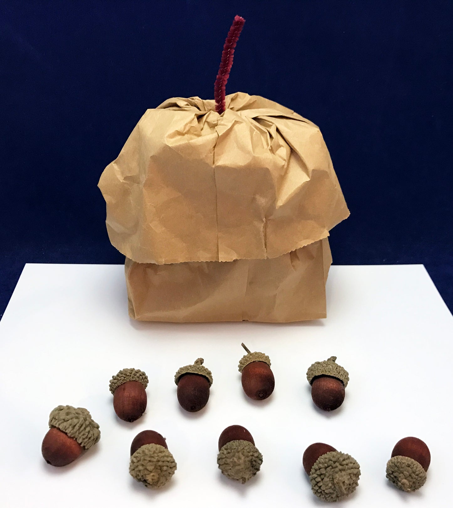 Ivy Kids Kit - Nuts to You!