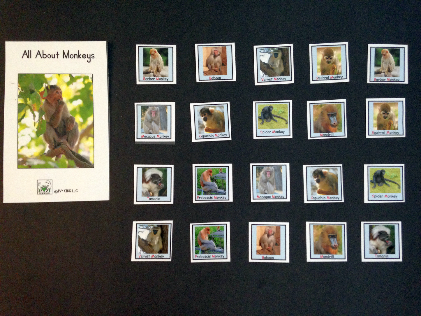 Ivy Kids Kit - Caps for Sale