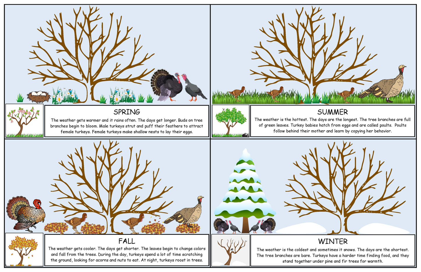 turkeys and the seasons