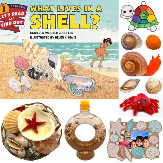 Beach and Seashell Themed STEM activities