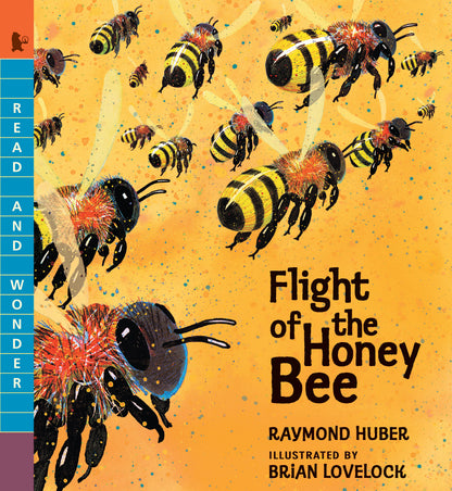 Ivy Kids Kit - Flight of the Honey Bee
