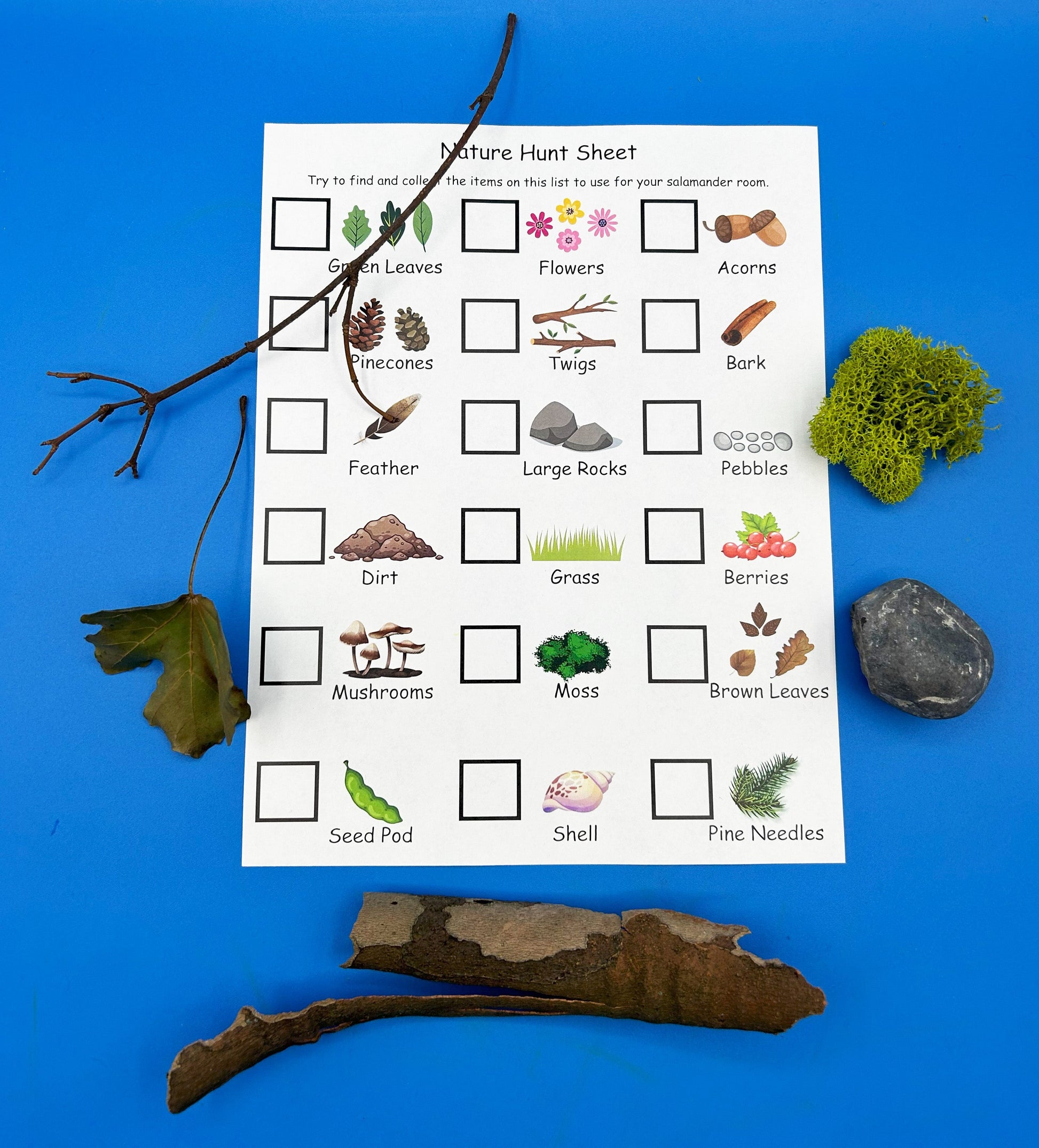 Nature Hunt 
