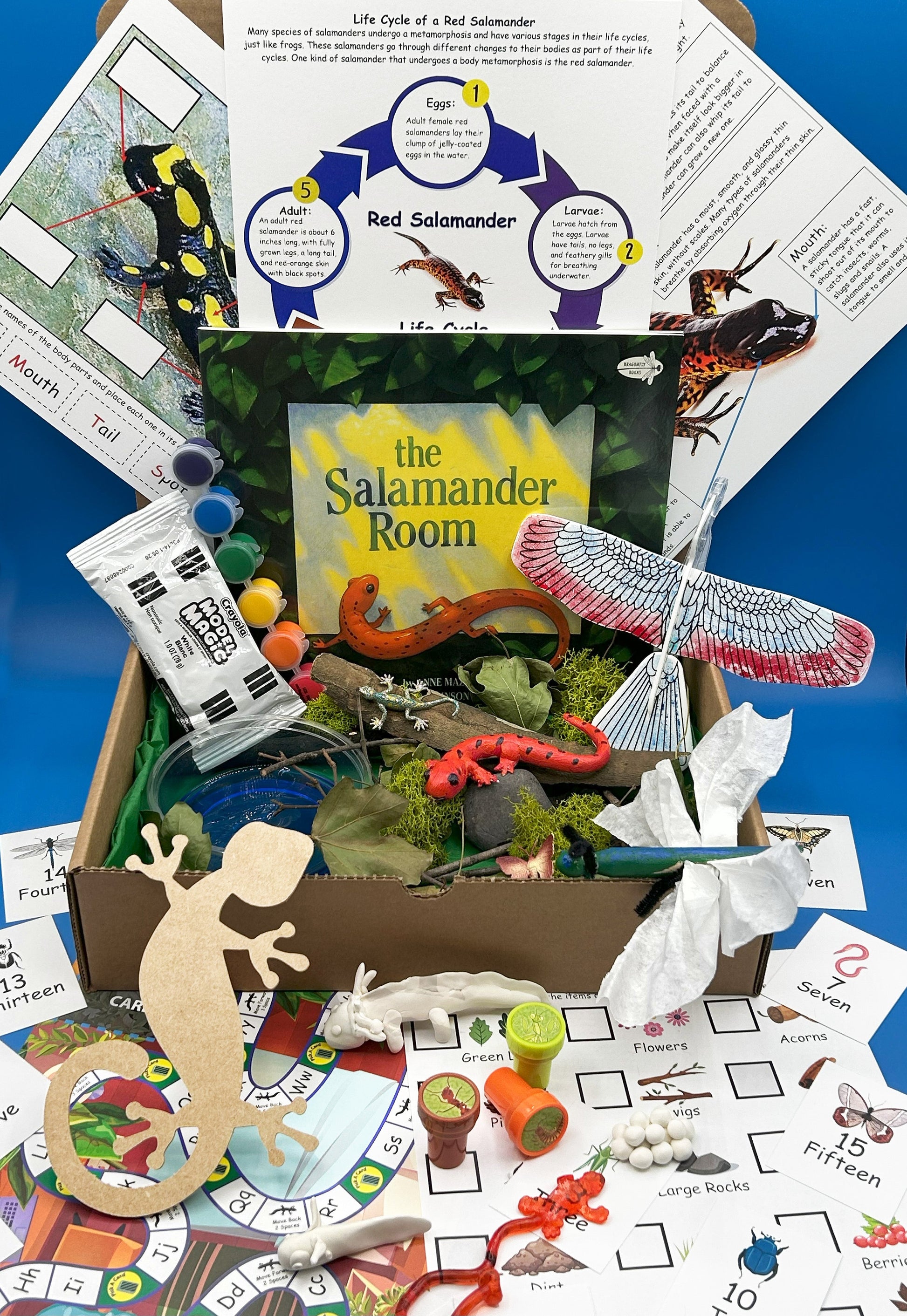 Salamander Room book activities STEM
