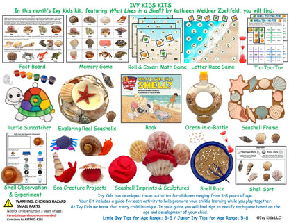 Seashell & Beach themed STEM activities