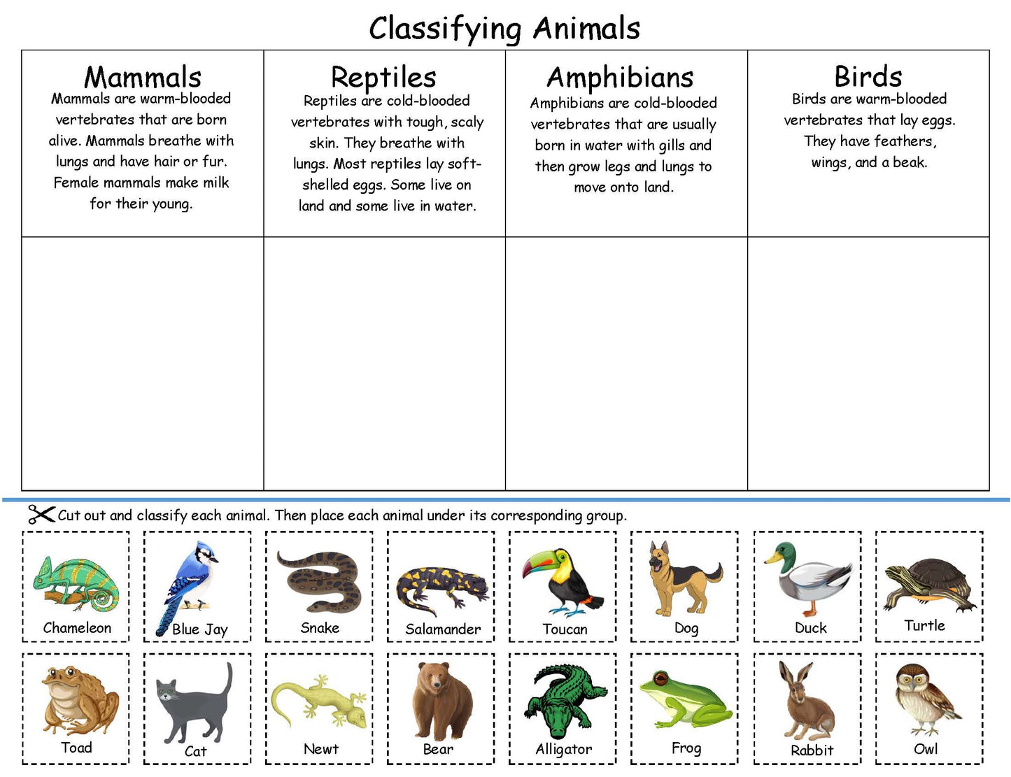 Classifying Animals Board Game