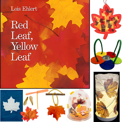 Fall, Autumn, Leaf themed children STEM activities, leaf lantern, suncatcher, bird feeder, mobile, maple seeds, falling leaf craft