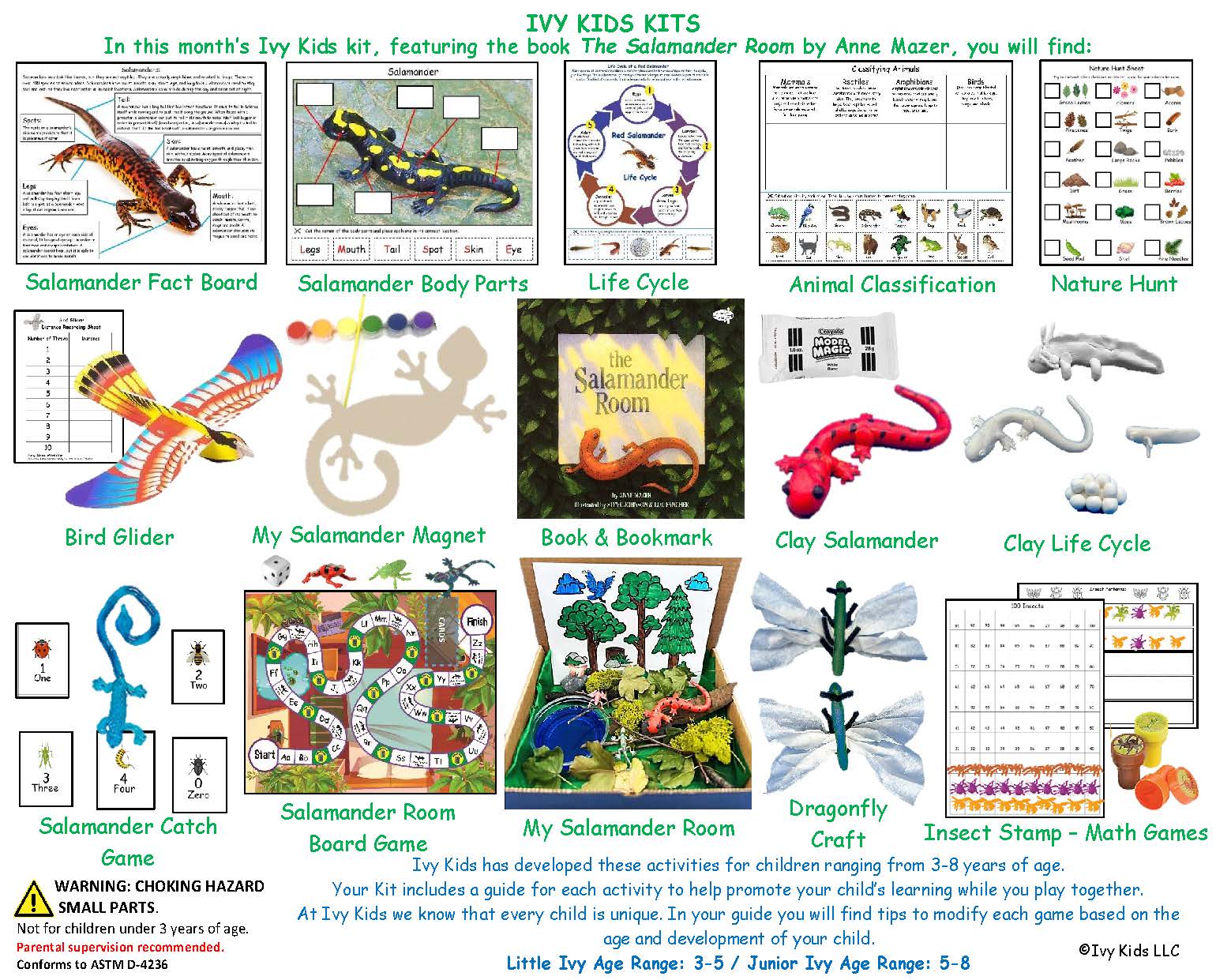Salamander room activities