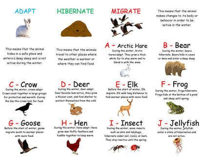 Sort the Animals - What do animals do in the winter? Hibernate Migrate Adapt