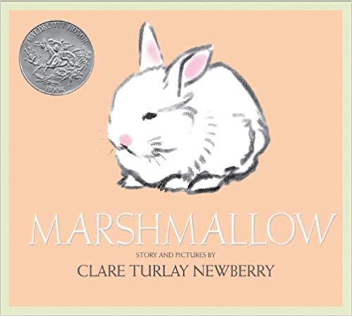 STEAM activities inspired by Marshmallow Bunny by Clare Turlay Newberry