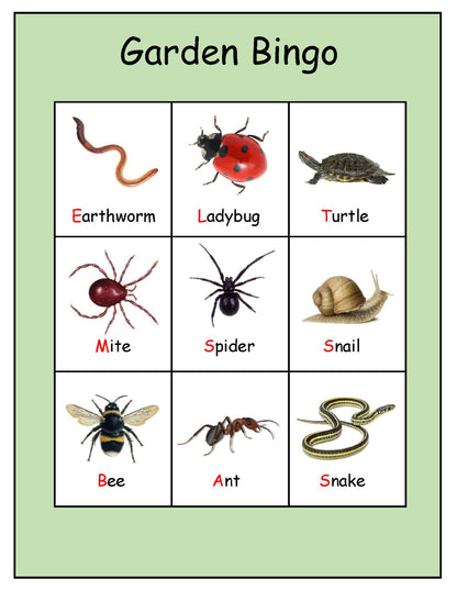 Ivy Kids Kit - There's a Bug on My Book