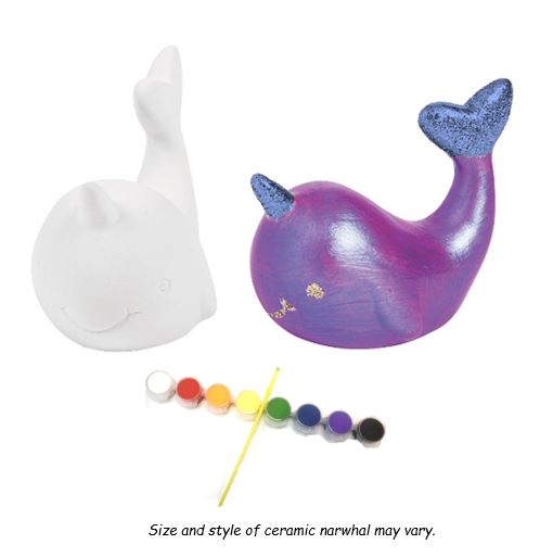 Ivy Kids Kit - The Lost Narwhal