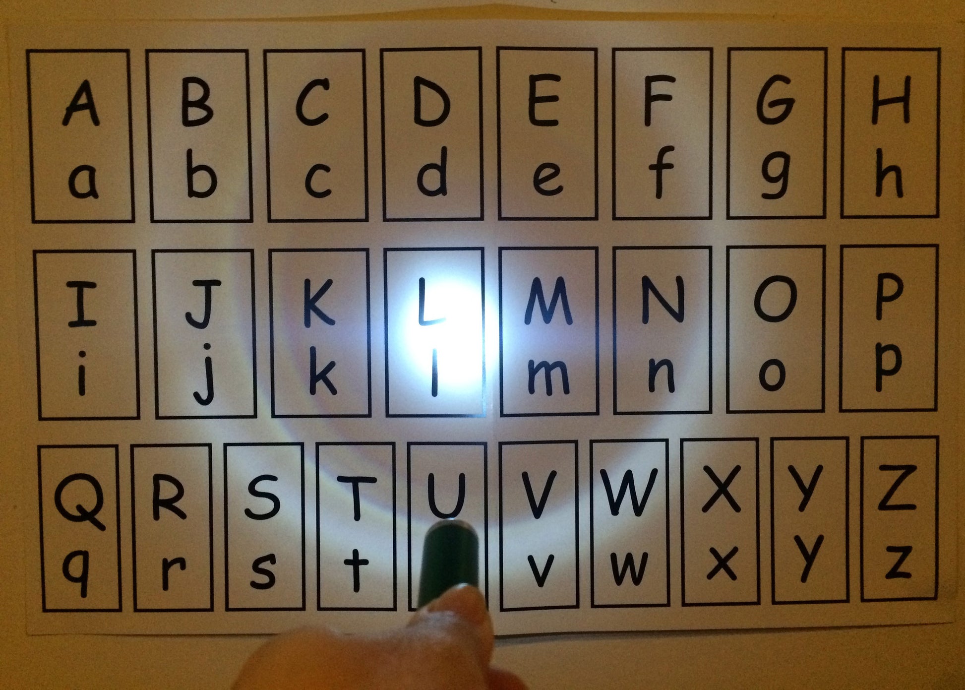 Literacy Activity Find the Sight Words with a Flashlight- Inspired by The Very Lonely Firefly by Eric Carle