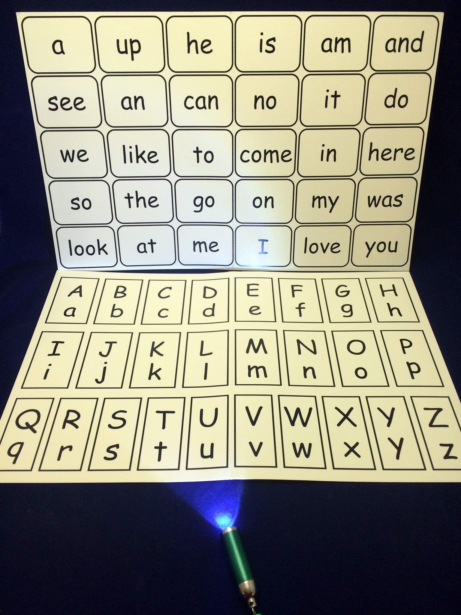Literacy Activity Find the Letters with a Flashlight- Inspired by The Very Lonely Firefly by Eric Carle