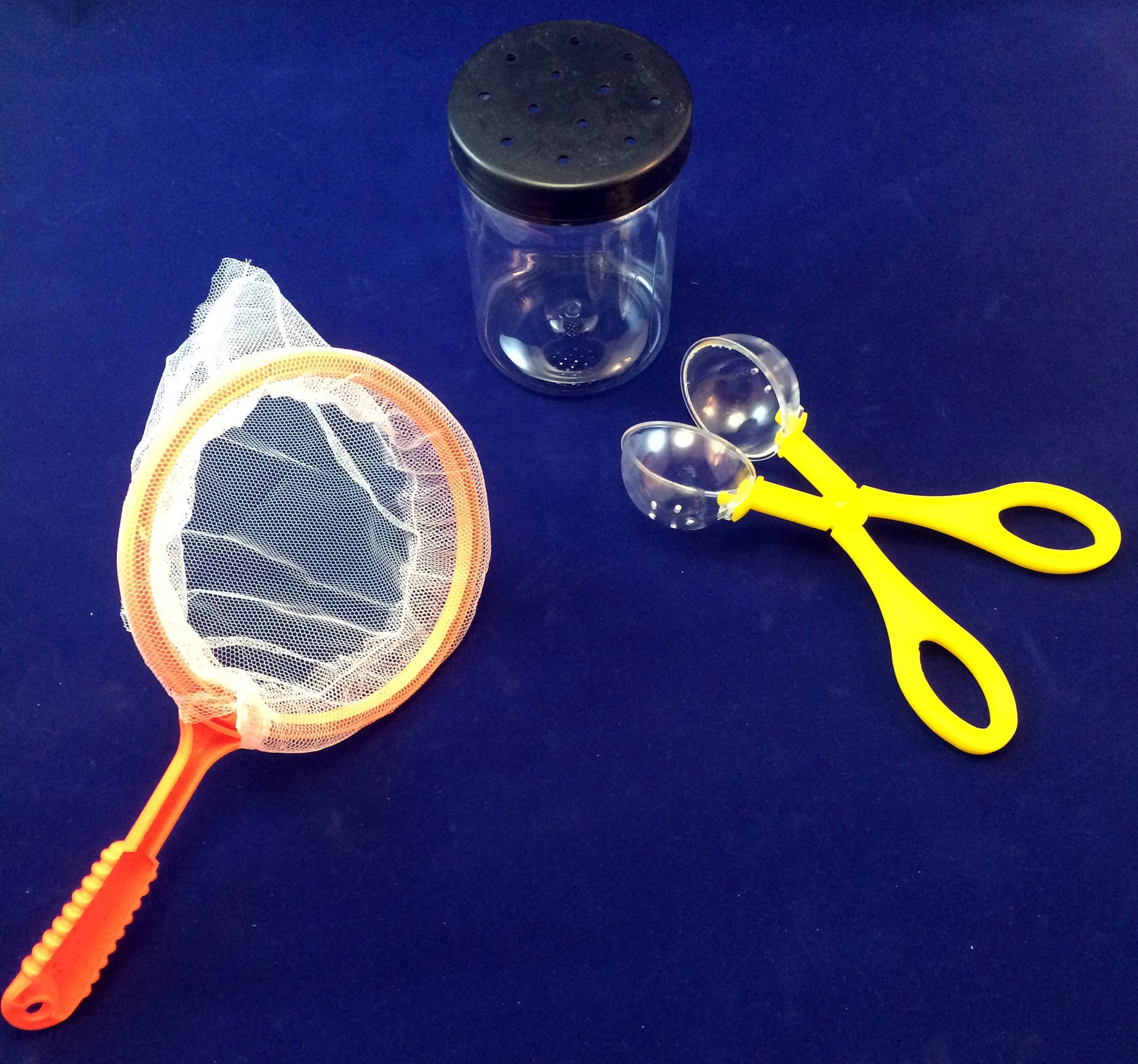 Science Activity - Catch Fireflies Inspired by The Very Lonely Firefly by Eric Carle