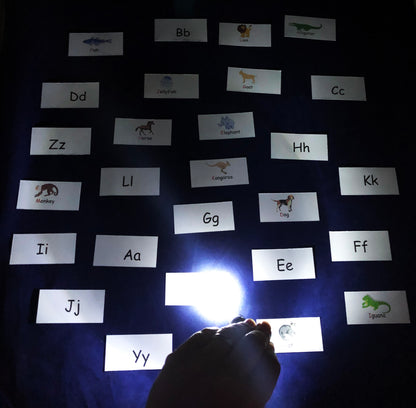 Flashlight activities for kids letter and word hunt