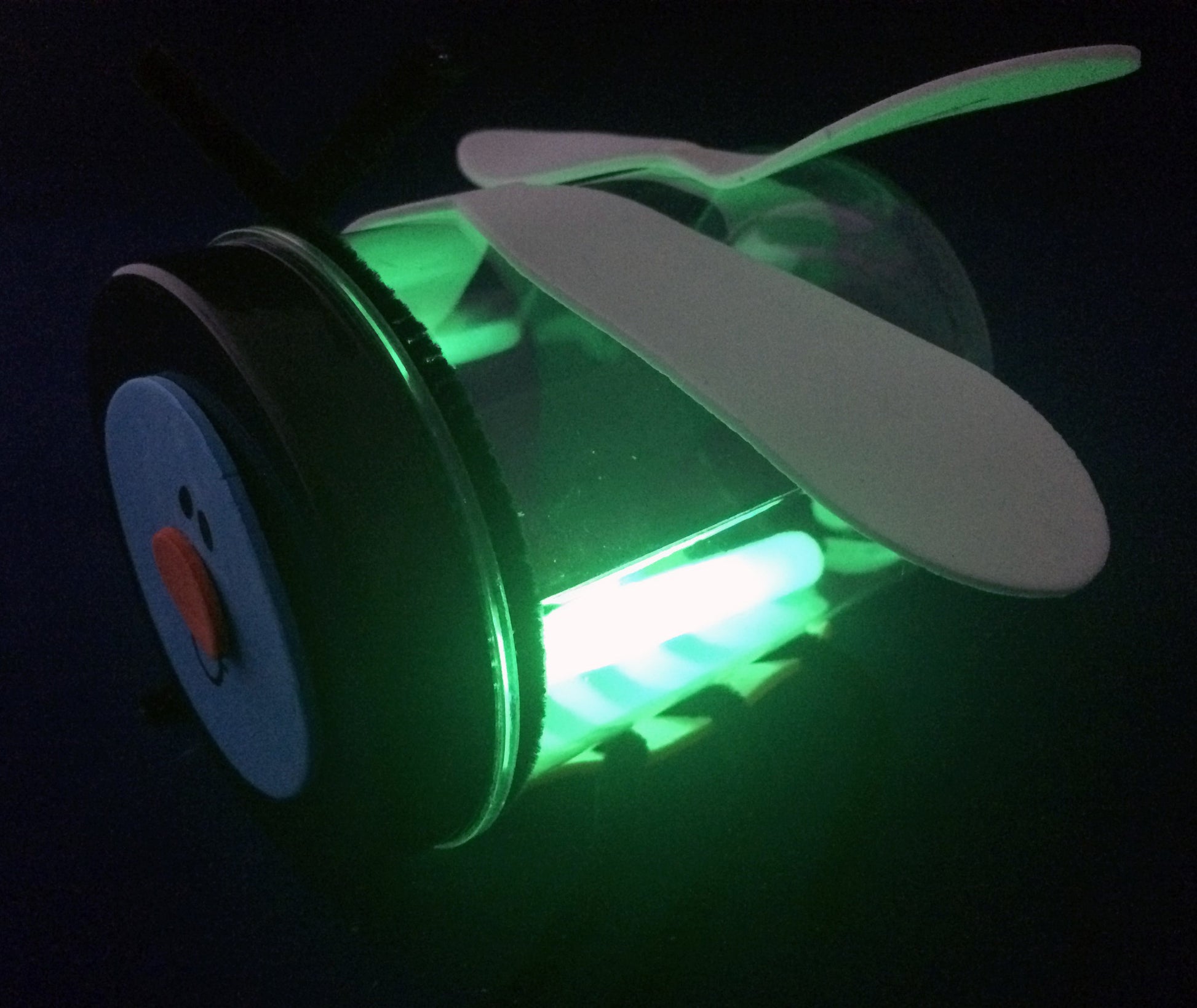 Create your own Firefly Art Project Inspired by The Very Lonely Firefly by Eric Carle