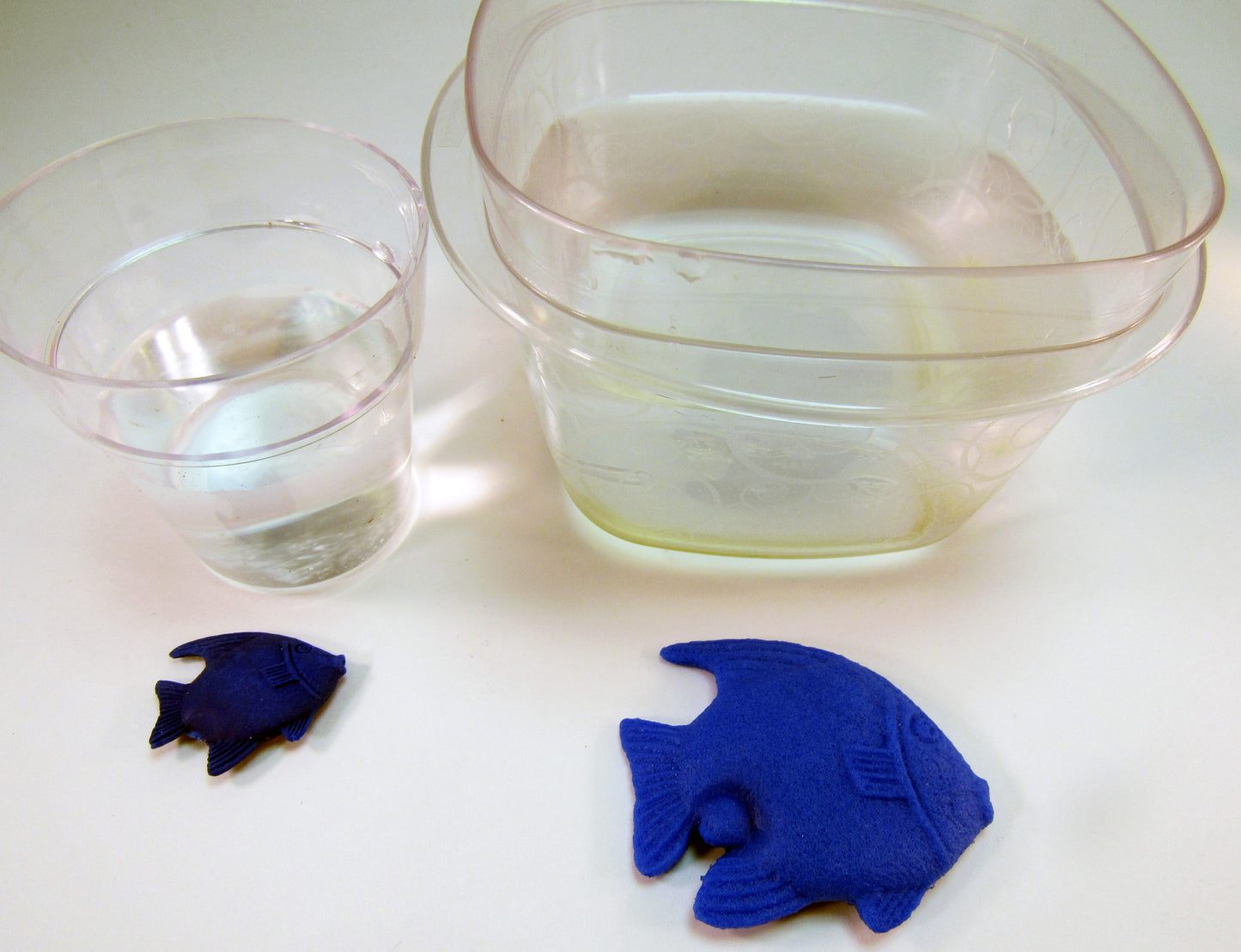 Growing Creatures: Science Activity inspired by A Fish Out of Water by Helen Palmer