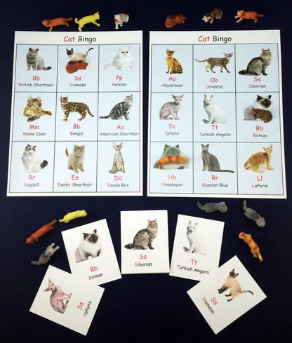 Ivy Kids kit - Mrs. McTats and her Houseful of Cats