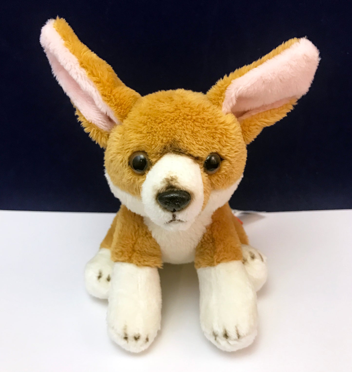 Ivy Kids Kit - Over on a Desert