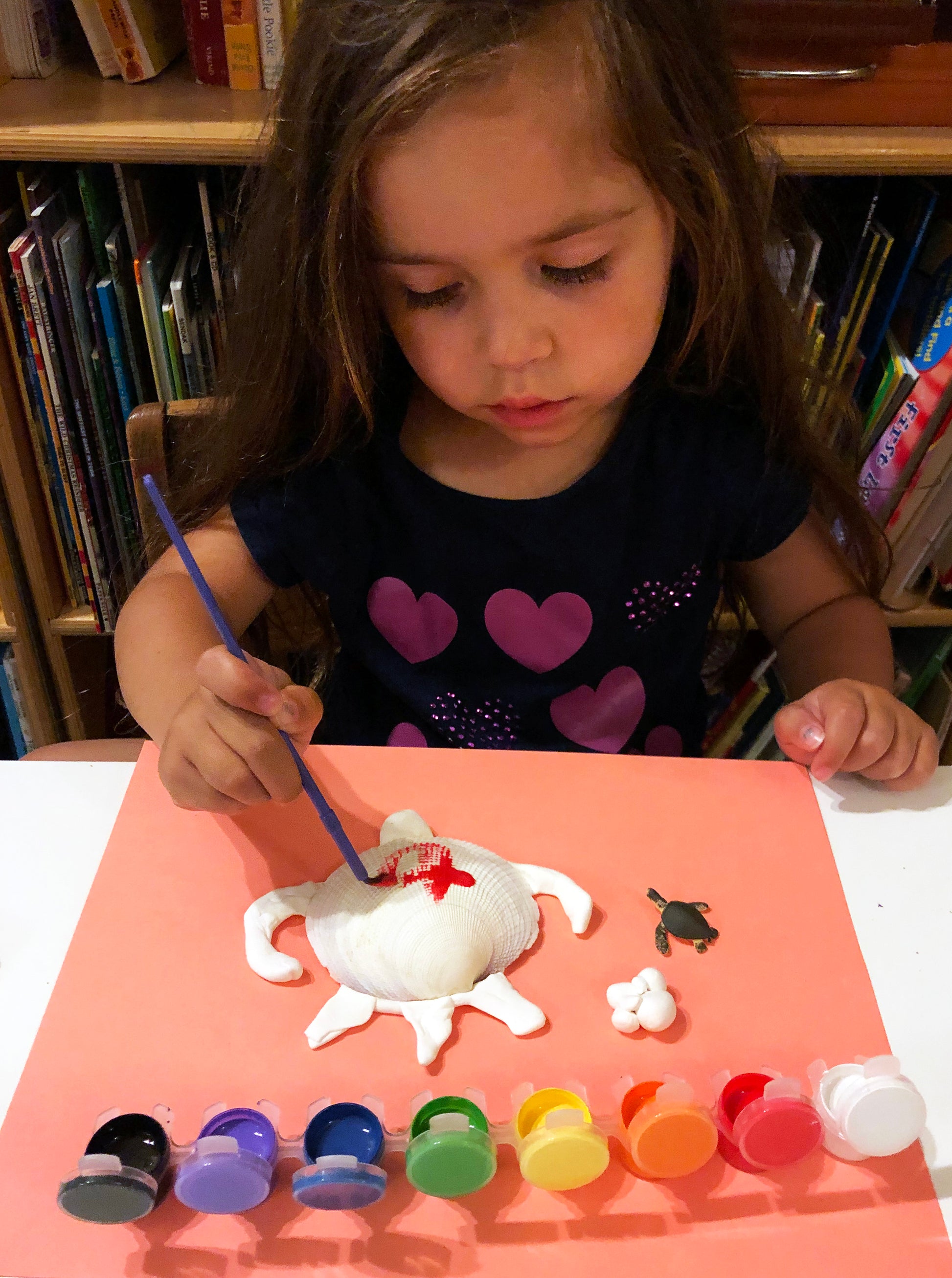 Green sea turtle clay model and life cycle children's art and science activity