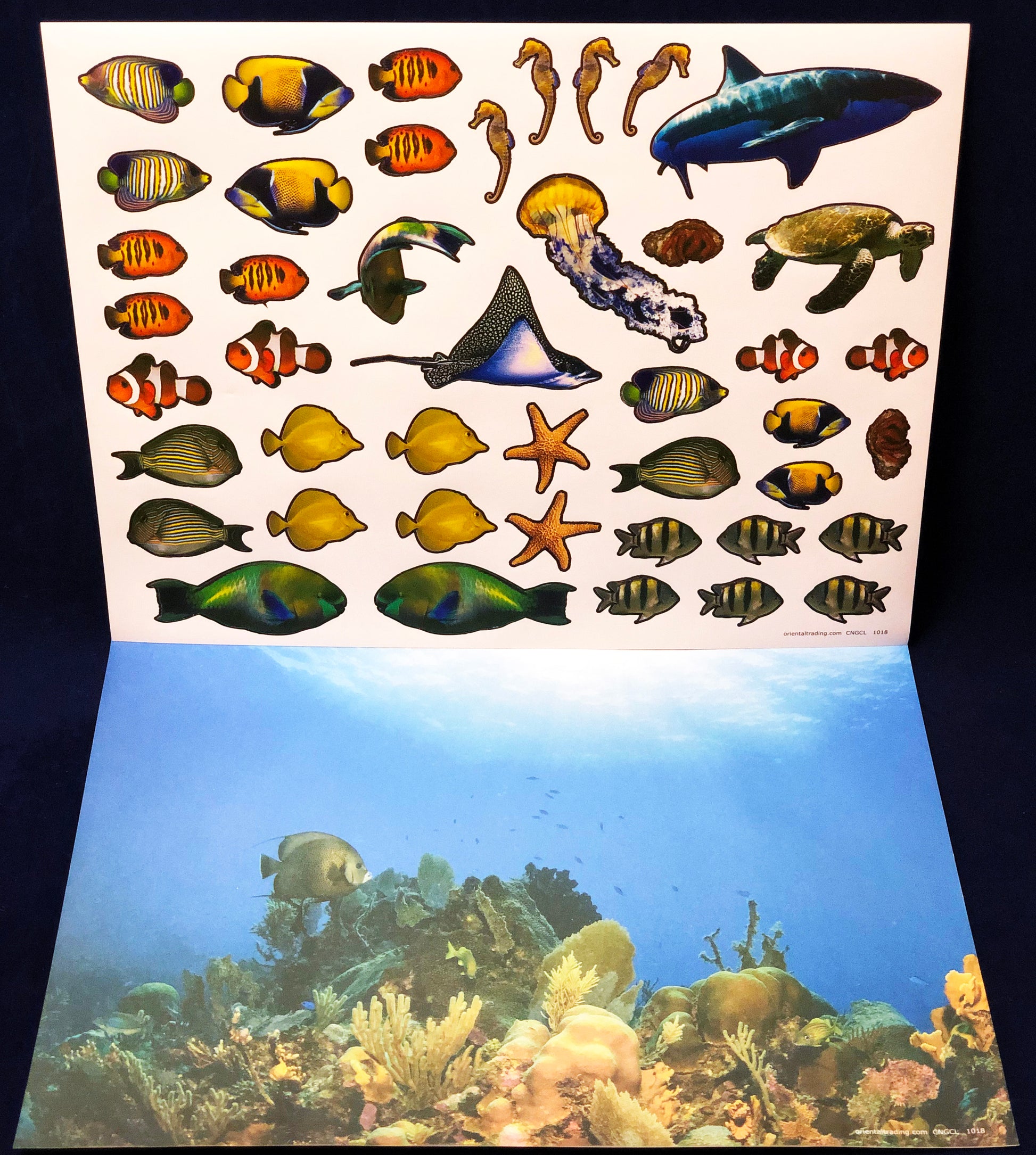 Coral reef stickers