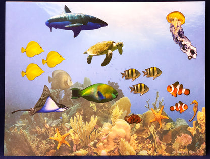 Coral reef stickers