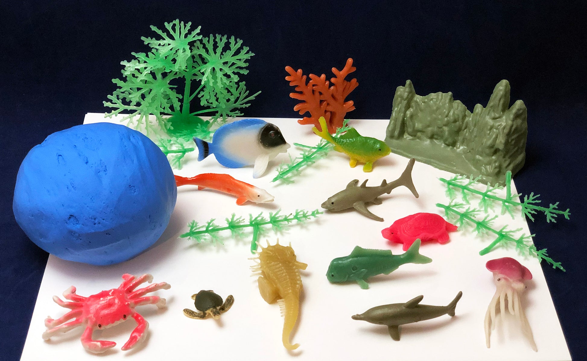 Make your own coral reef with clay and sea creatures
