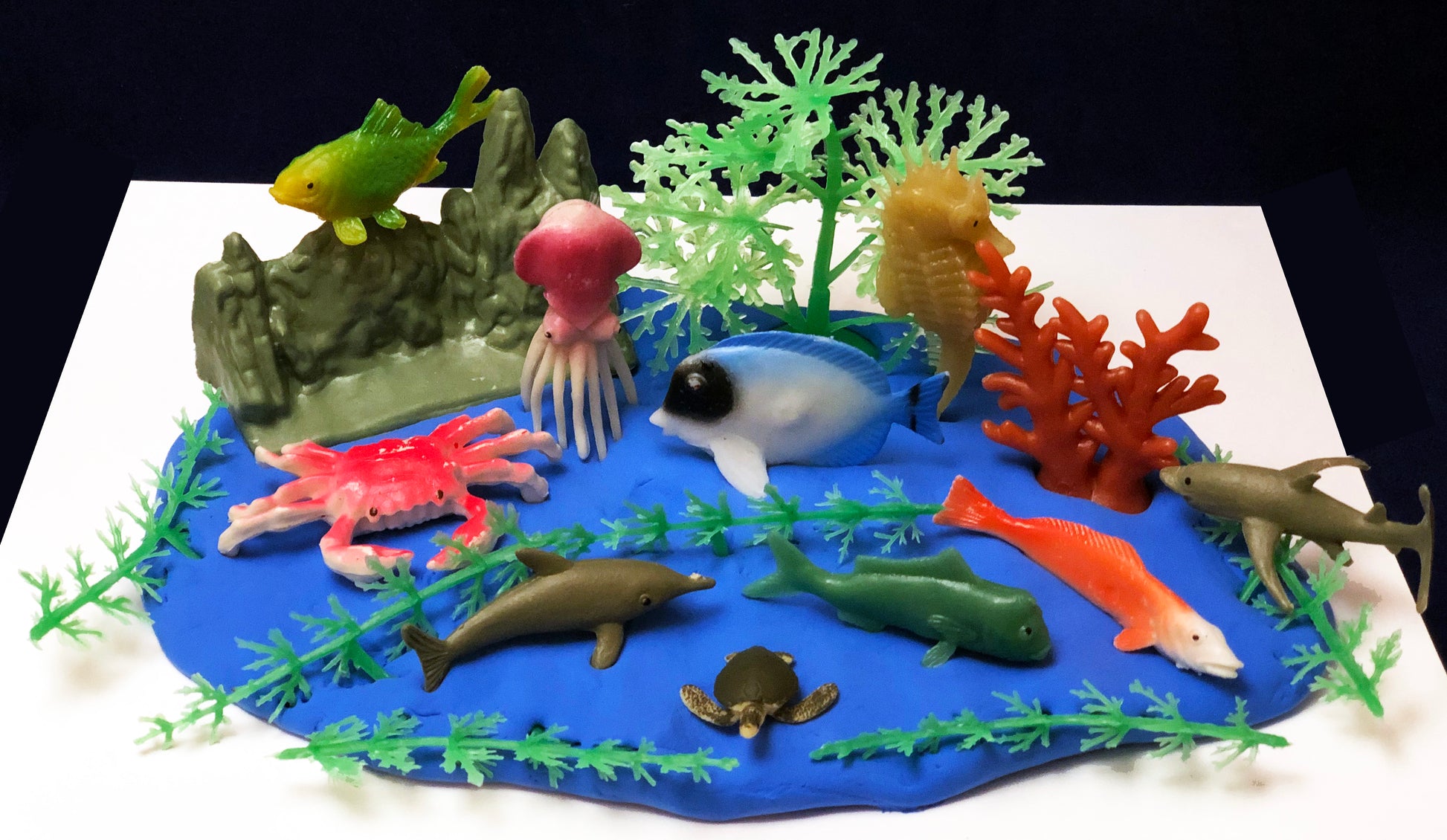Make your own coral reef with clay and sea creatures