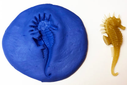 Clay imprints of sea creatures