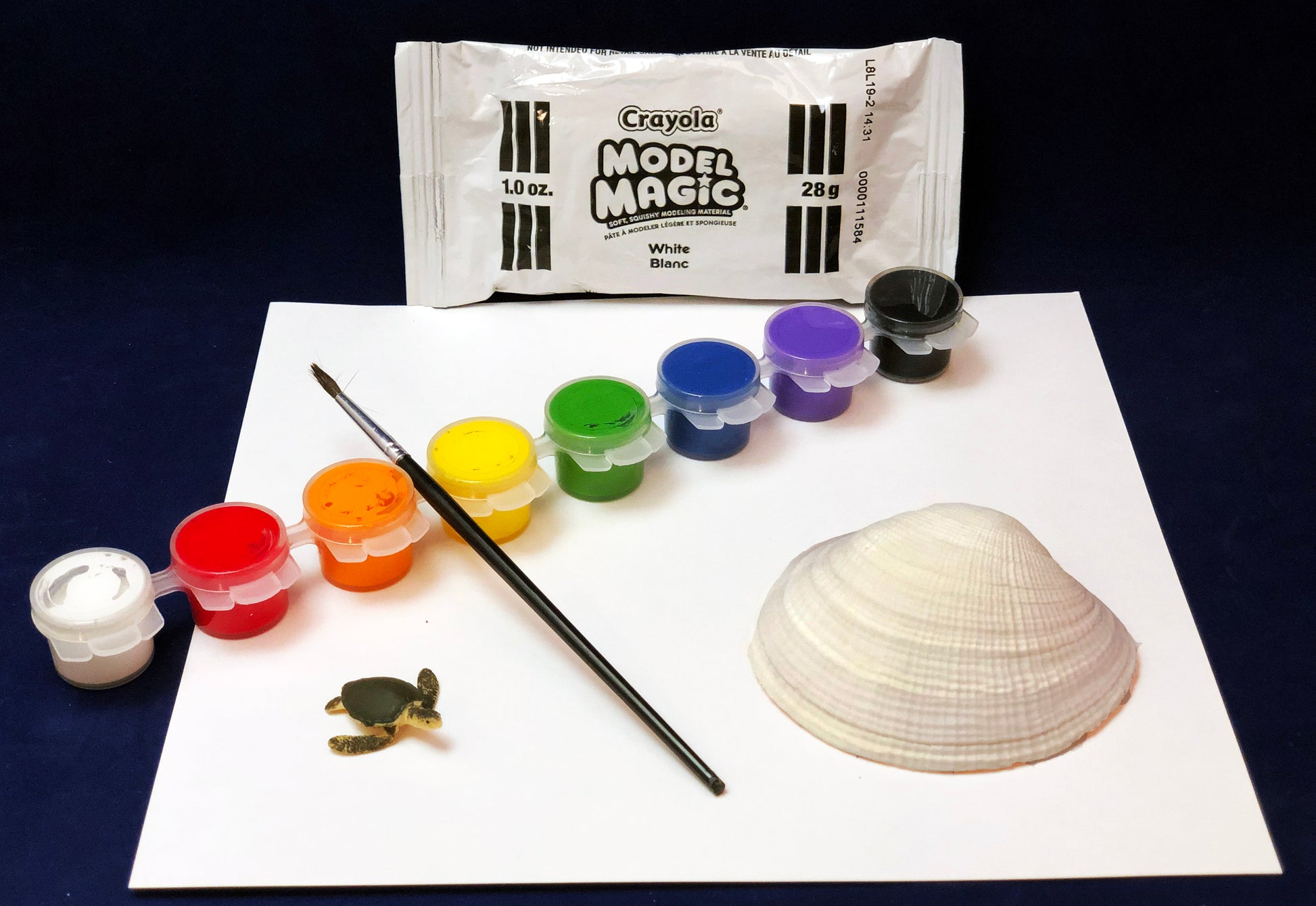 Green sea turtle clay model children's art activity