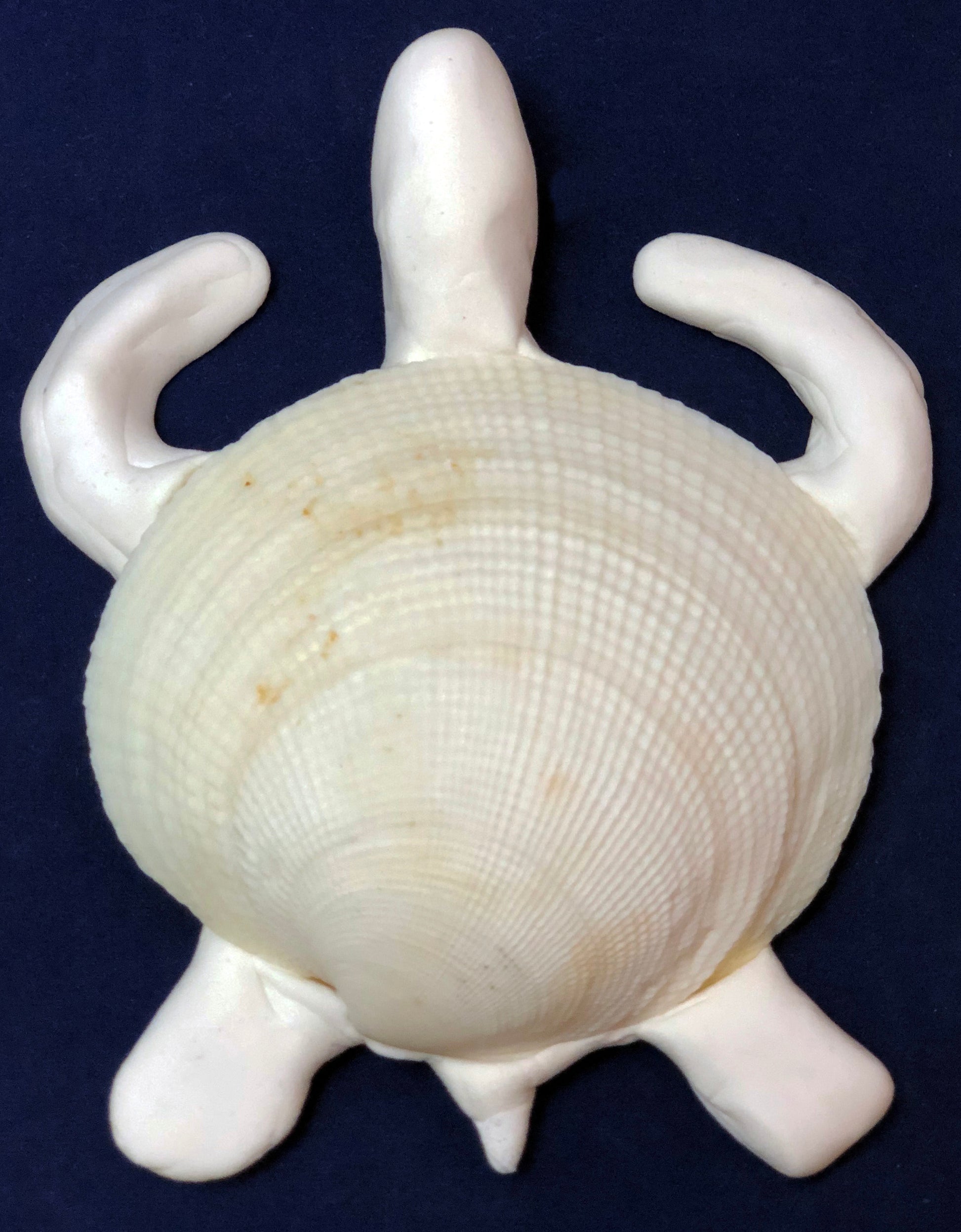 Green sea turtle clay model children's art and science activity