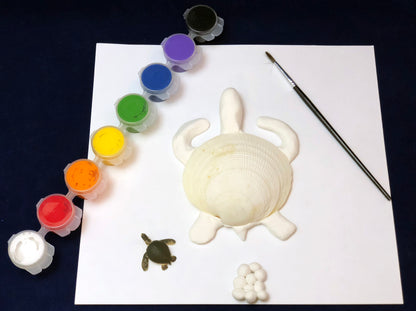 Green sea turtle clay model and life cycle children's art and science activity