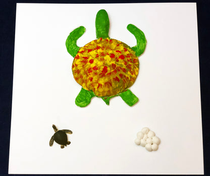 sea turtle life cycle 