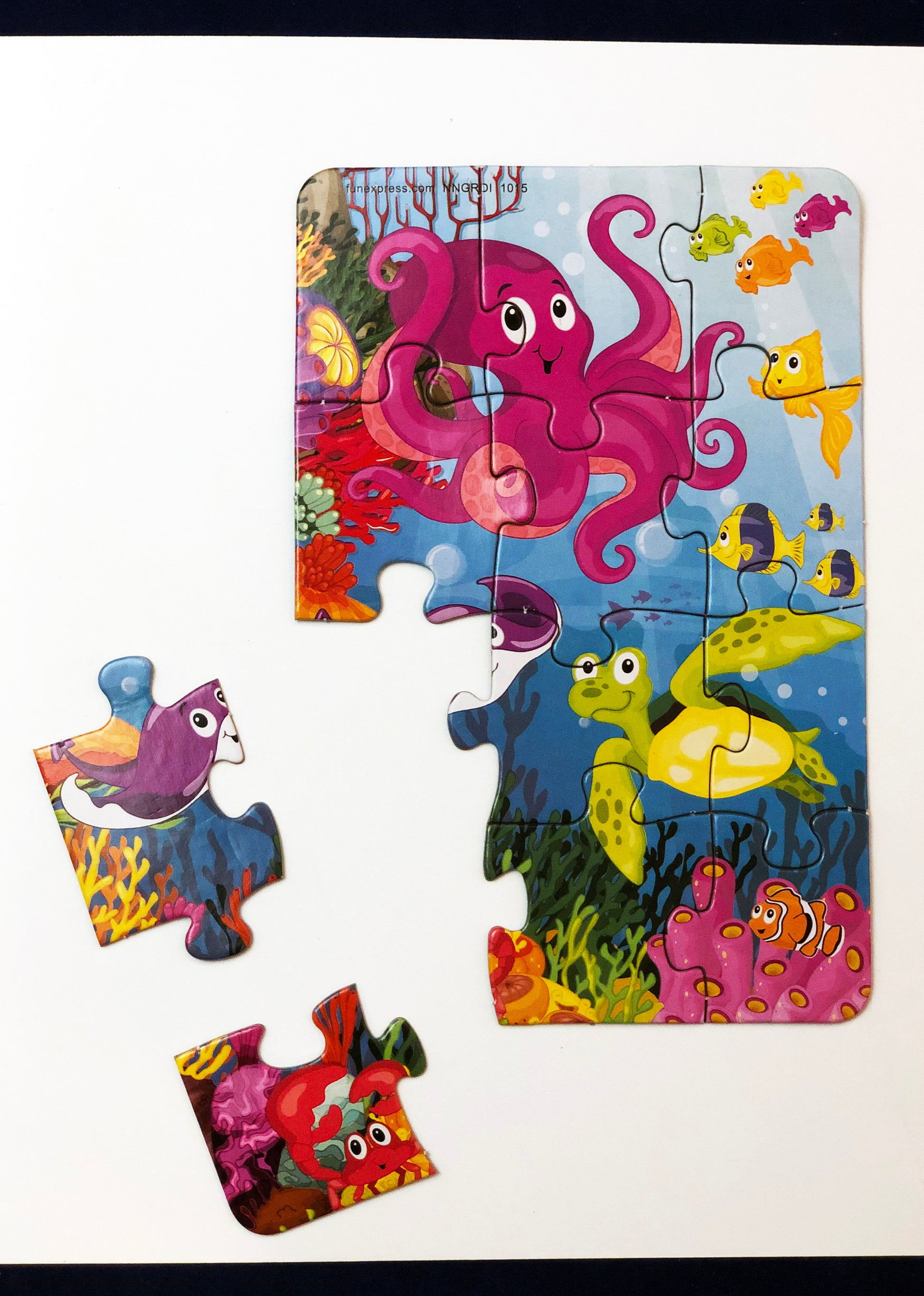 Coral reef puzzle
