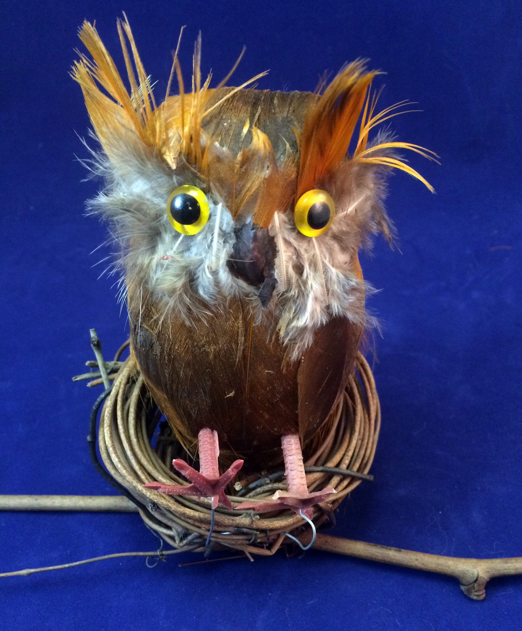 Science Activity - Realistc Owl to learn about Owls Inspired by Owl Babies