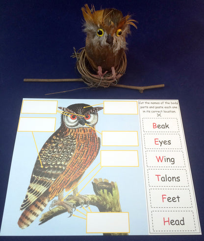 Ivy Kids kit - Owl Babies
