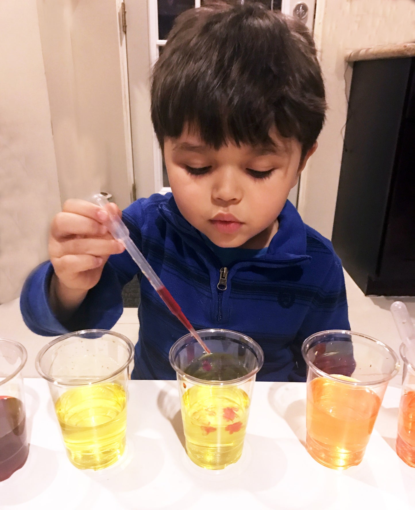 Ivy Kids Kit - The Big Orange Splot