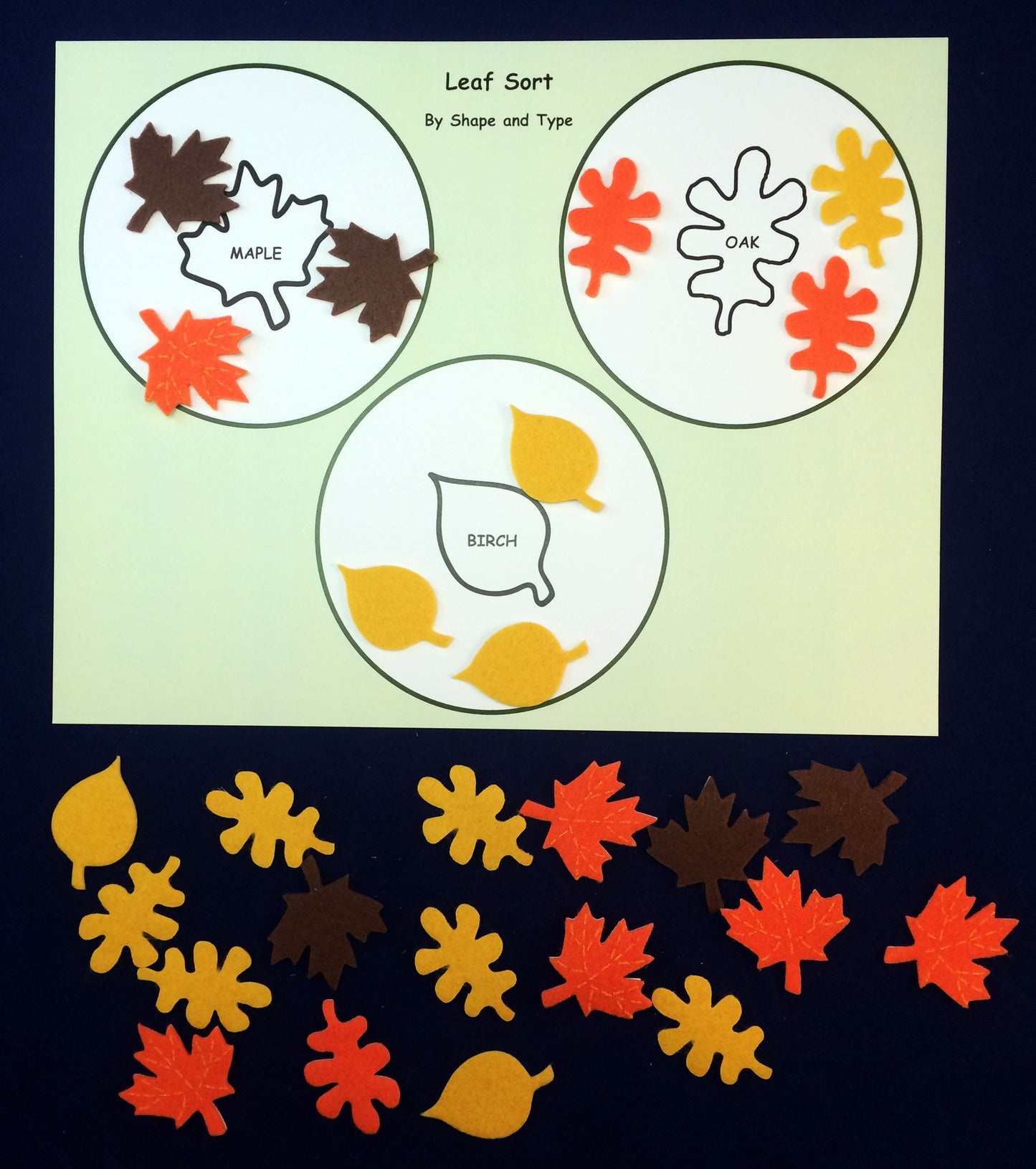 Math activity - Leaf sort inspired by the book Leaves by David Ezra Stein