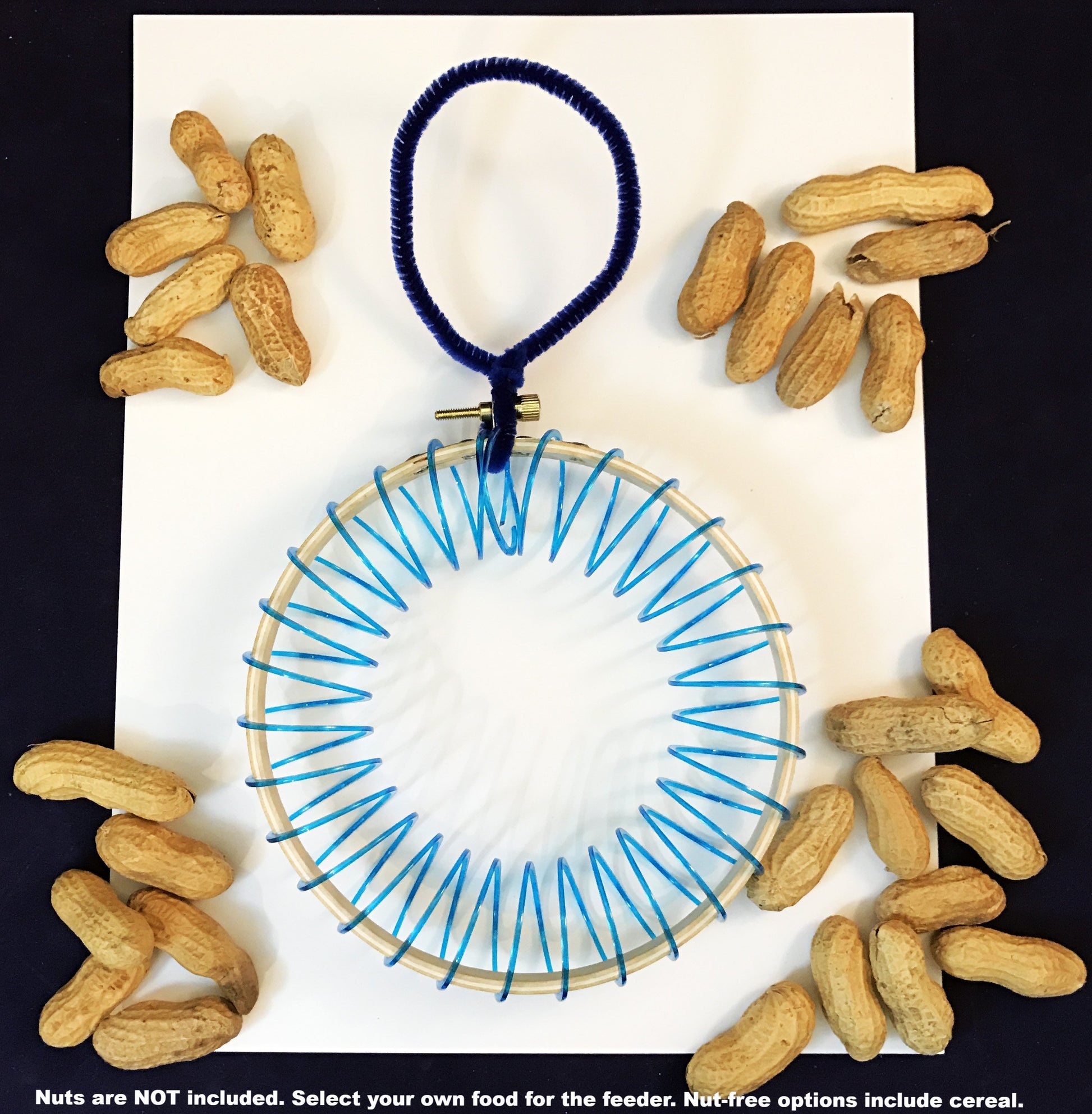 squirrel feeder project for kids