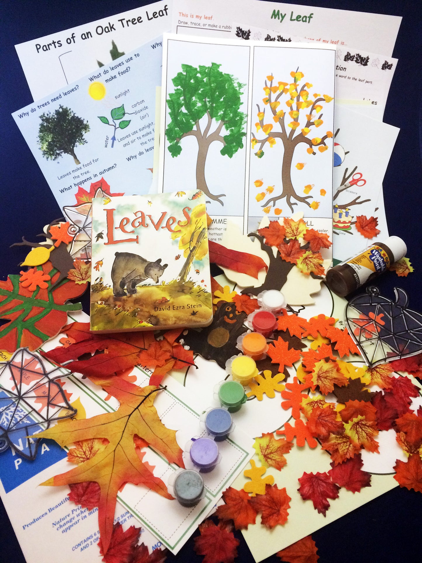 Fun and educational activities based on the book Leaves by David Ezra Stein