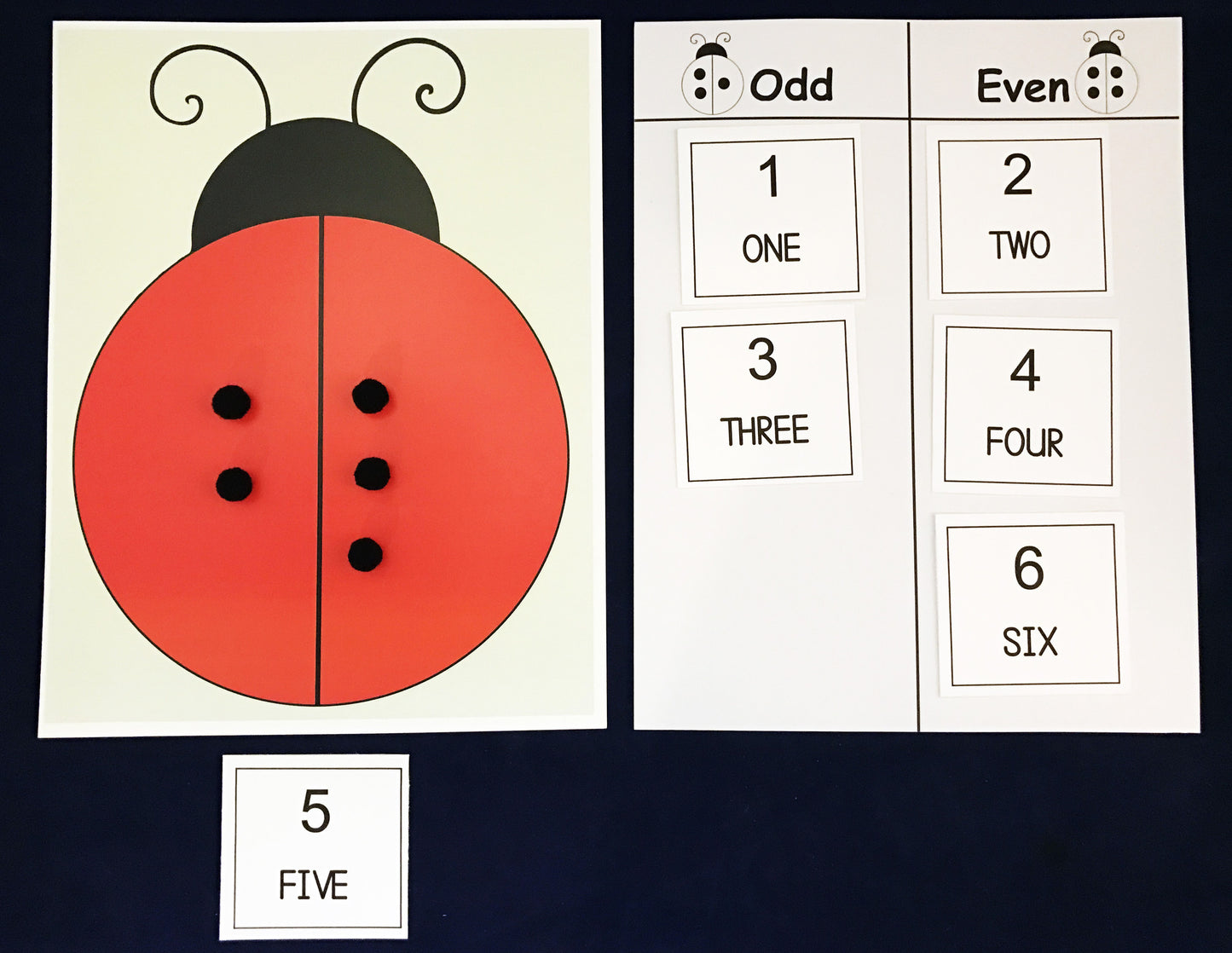 Ivy Kids Kit - Are you a Ladybug?