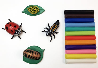 Ivy Kids Kit - Are you a Ladybug?